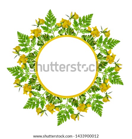 Wild flowers and leaves in a round frame isolated on white background. Flat lay. Top view.