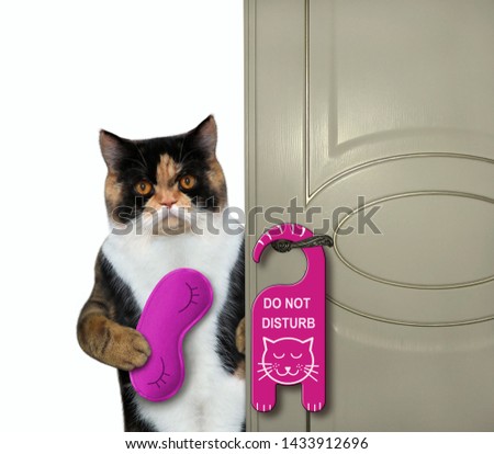 The cat with a purple sleep mask closes the door of his hotel room..  A sign " do not disturb " is hung on the door. White background. Isolated.