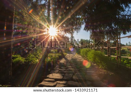 The rays of the sun at dawn make their way through the foliage of the tree creating rainbow highlights and illuminating the stone path