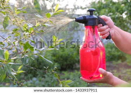 Processing of fruit trees from pests, spraying pesticides, hands holding a sprayer, close-up.