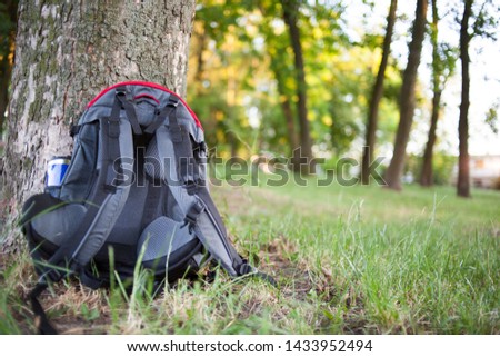 gray-red tourist backpack in the park with copy space