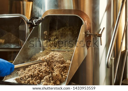 Mashing of milled malt grains for preparing malt. Process of brewing grain of barley. Royalty-Free Stock Photo #1433953559