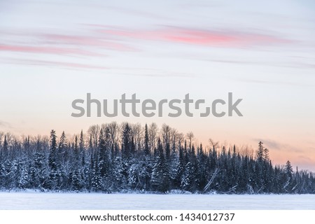 Landscape photo of large black spruce trees covered in snow lined up along a frozen river bank with a colorful sunset in the background. Shot in Abitibi, Quebec, Canada. 