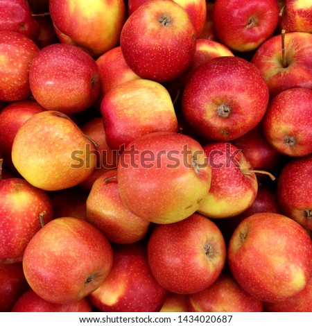 Macro Photo food fruit red apples. Texture background of fresh red apples. Image of fruit product big red apples 