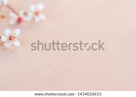 Close up small white flowers on a wooden coral background with space for text - beautiful floral background