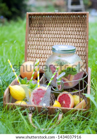 Preparation of lemonade. summer lemonade in a summer garden