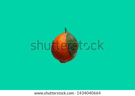 a photo of an isolated orange Meyer lemon with its green leaf over a complementary color background
