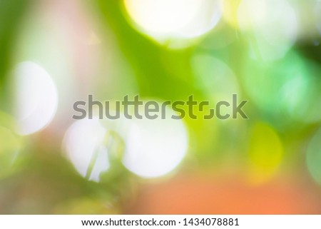 Green,yellow and orange bokeh on nature abstract blur background green bokeh from tree