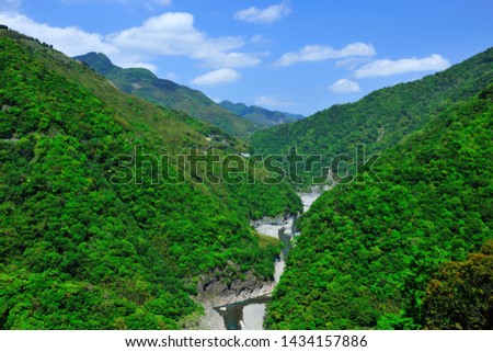 Natural calm green forest with rocky streams