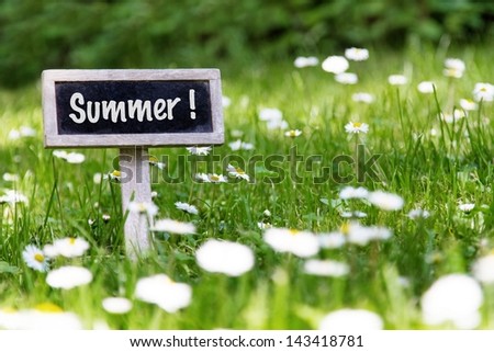 Summer signboard in the meadow and flowers