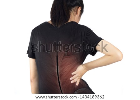 spine muscle injury white background spine pain