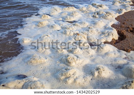 Dirty Sea foam or Whipping cream ocean, Pollution of environment