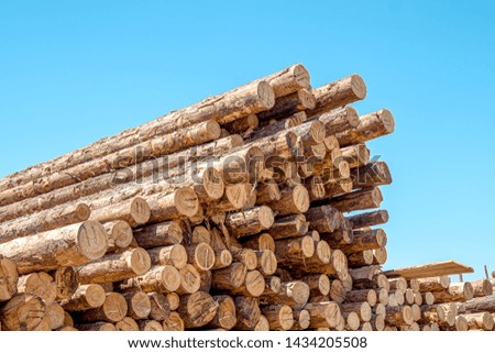 Stacks of wooden logs as background
