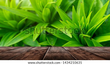 Wooden table, empty stage. Background green plants, grass. Nature, vegetative background under the open sky.