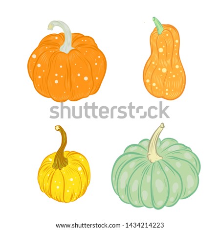 set of colored pumpkins for thanksgiving day, halloween. vector illustration