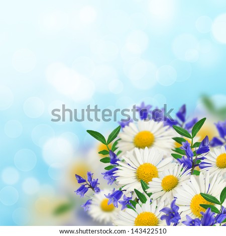 Wildflowers on the sky background Royalty-Free Stock Photo #143422510