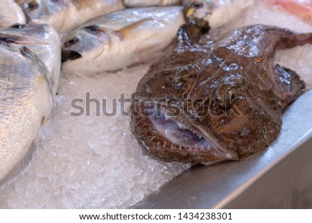 monkfish fresh on ice. This picture was taking at a farmers / fish market in the south of france in the early morning.