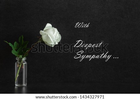 One fresh white rose in glass vase on black background. Condolence card with text. Front view.