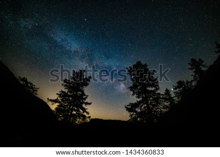 The Milky Way rises over the pine trees on a foreground. Dark forest with colorful milk way rising on the sky