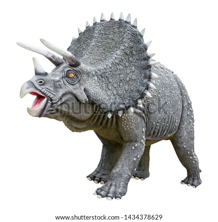 Triceratops is a genus of herbivorous ceratopsid dinosaur that lived late Maastrichtian stage of the late Cretaceous period, Triceratops isolated on white background with clipping path Royalty-Free Stock Photo #1434378629