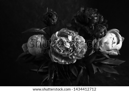 peonies in black and white on a black background