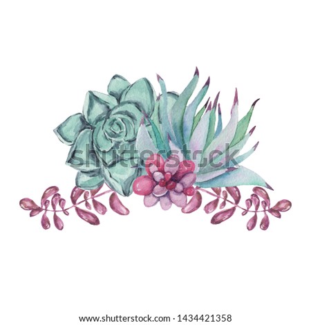 Watercolor succulent composition. Watercolor graphic for fabric, postcard, wedding or greeting card, book, poster, tee-shirt, banners, emblems, logo. Illustration, isolated objects.