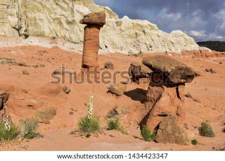 Sandstone spires and rocks, called Toadstools, or hoodoos, in Utah in the Grand Staircase Escalante National Monunent near the Arizona border.