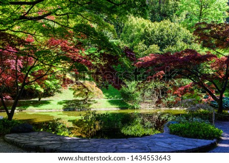 Reflection of colorful plants and the sky in the pond