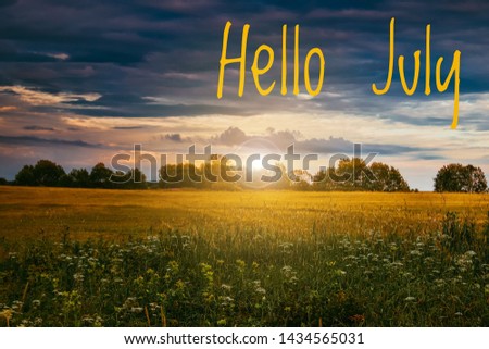 Banner hello july. New month. Welcome card Evening summer sunset. Summer landscape. Text on the photo.
