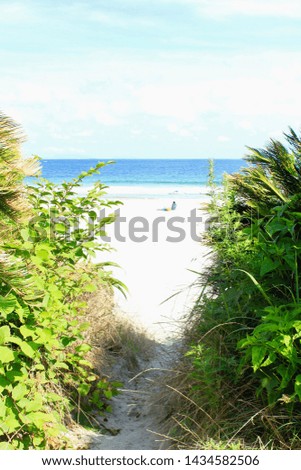 photo picture of a beautiful sea and ocean view with a natural background of palms, flowers, forests and sky