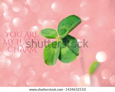 You are my lucky charm - inspirational motivation quote. Fresh green lucky four leaf clover on pink sparkling bokeh background. Design for your ad, poster, banner. Beautiful st patrick's day concept