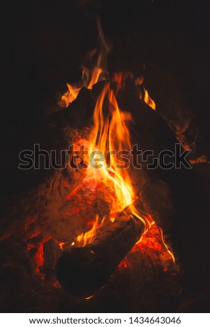 Camping fire in the night  with burning close-up firewood on black background.vertical picture