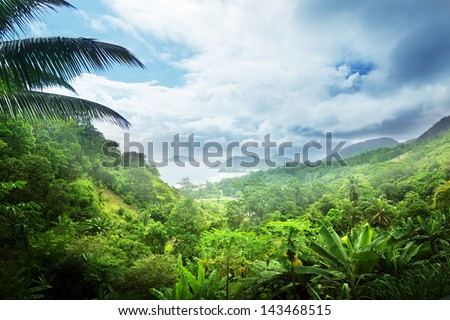 jungle of seychelles island Royalty-Free Stock Photo #143468515
