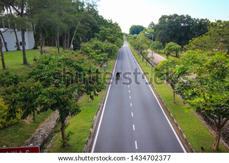 Beautiful greenery clam picture. A picture of tar road.