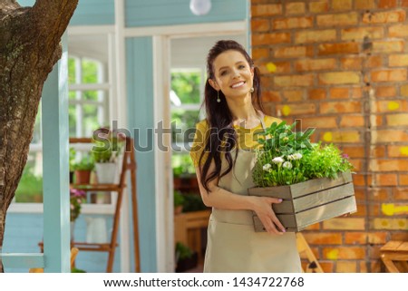 Rearranging details. Cheerful florist holding a wooden box with plants standing in front of the flower shop.