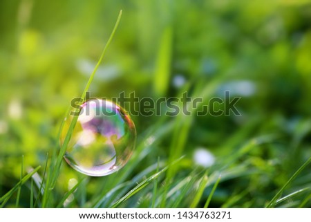 Colorful soap bubble hangs on the blade of grass