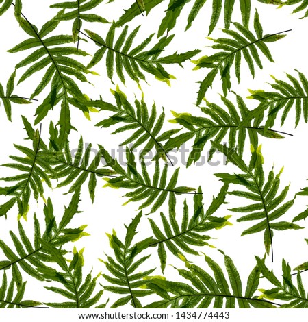 Seamless pattern of tropical leaves. Exotic foliage texture. Stock vector illustration.