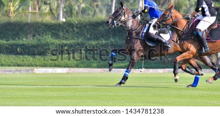 Side view picture of the Horse Polo Player are battle in match.