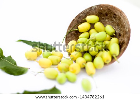 Neem fruit or nim fruit or Indian lilac fruit in a clay bowl isolated on white along with some fresh leaves also.Horizontal shot.