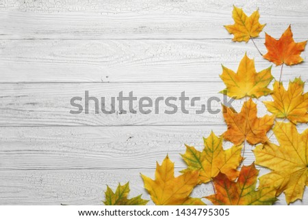 Autumn border with leaves on vintage white wood background.