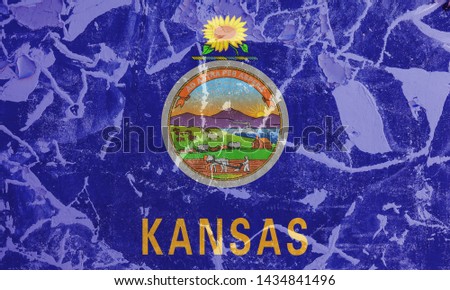 The national flag of the US state Kansas in against a gray wall with cracks and faults on the day of independence in colors of blue and yellow. Political and religious disputes, customs and delivery.