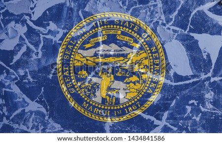 The national flag of the US state Nebraska in against a gray wall with cracks and faults on the day of independence in colors of blue and yellow. Political and religious disputes, customs and delivery