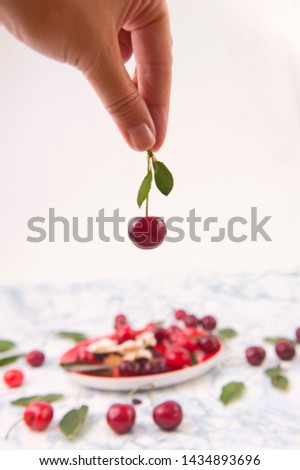 Cherry pie with fresh red cherries on the marble table