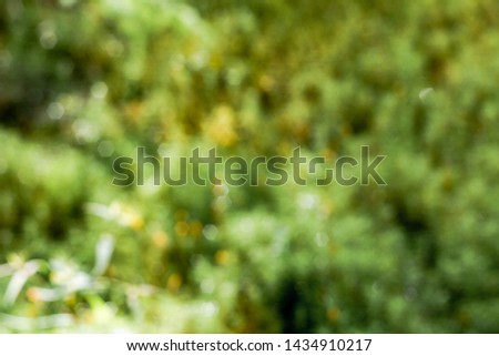 abstract blur green color for background,blurred and defocused effect spring or summer concept for design. Nature background