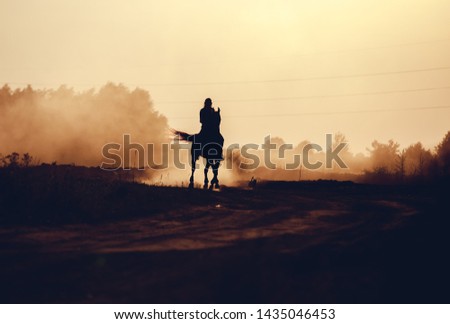 Silhouette of a rider on a horse at sunset