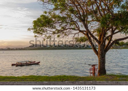 Tree near a lake in a calm climate