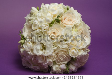 Flowers, roses and peonies on colored background