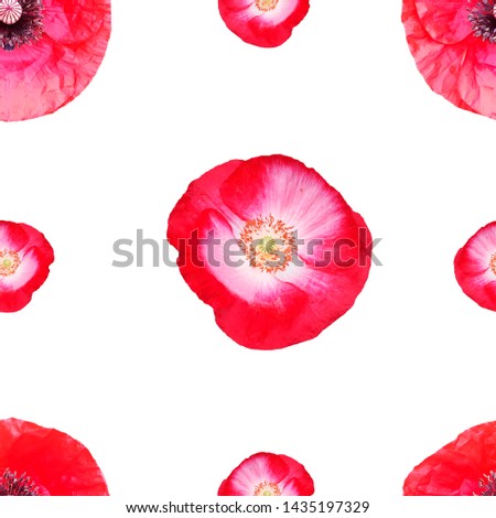 Cute beautiful ped poppies. Seamless floral photo background. Digital mixed media artwork for wrapping paper, wallpaper design, textile, fabric, apparel.