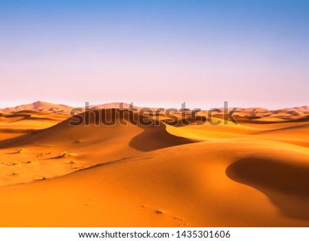 Amazing view of sand dunes in the Sahara Desert. Location: Sahara Desert, Merzouga, Morocco. Artistic picture. Beauty world.