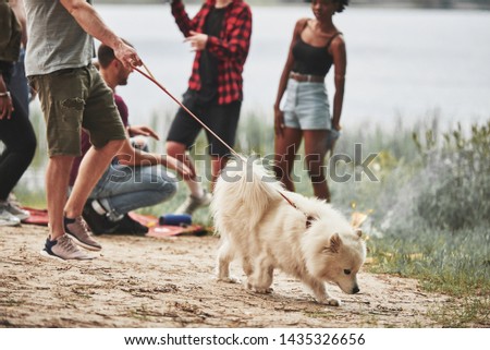 Walking the dog. Group of people have picnic on the beach. Friends have fun at weekend time.